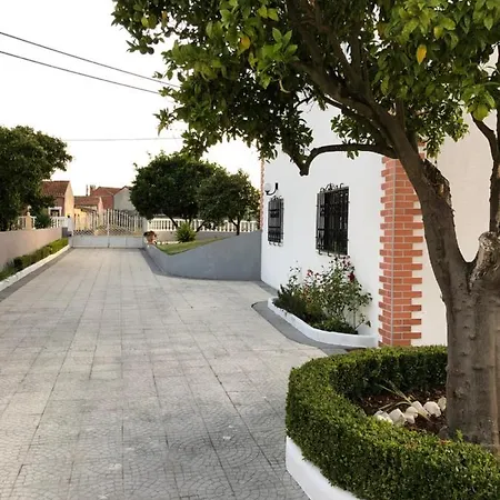 My House In Mira - Cantanhede Mira Cantanhede Febres